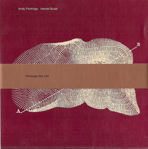 Andy Partridge, Harold Budd - Through The Hill - Andy Partridge, Harold Budd - CD