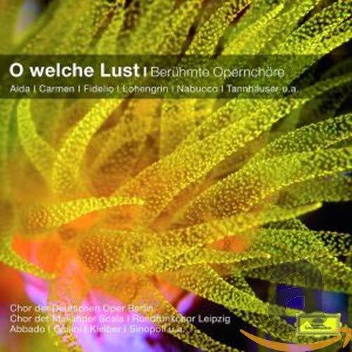 O Welche Lust:Famous Oper (Import) - Various Artists - CD