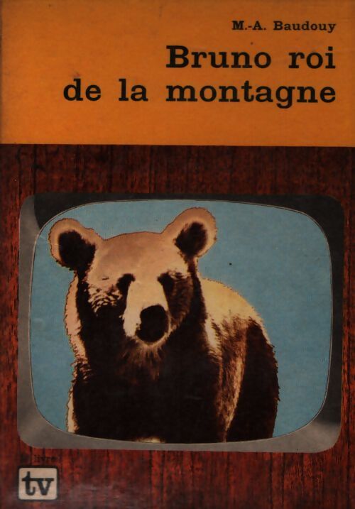 Bruno, roi de la montagne - Michel-Aimé Baudouy - Livre