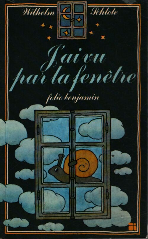 J'ai vu par la fenêtre - Wilhem Scholte - Livre