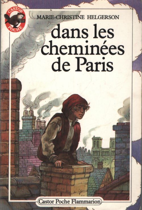 Dans les cheminées de Paris - Marie-Christine Helgerson - Livre
