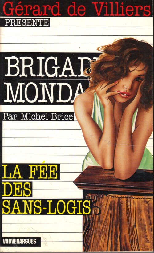 La fée des sans-logis - Michel Brice - Livre