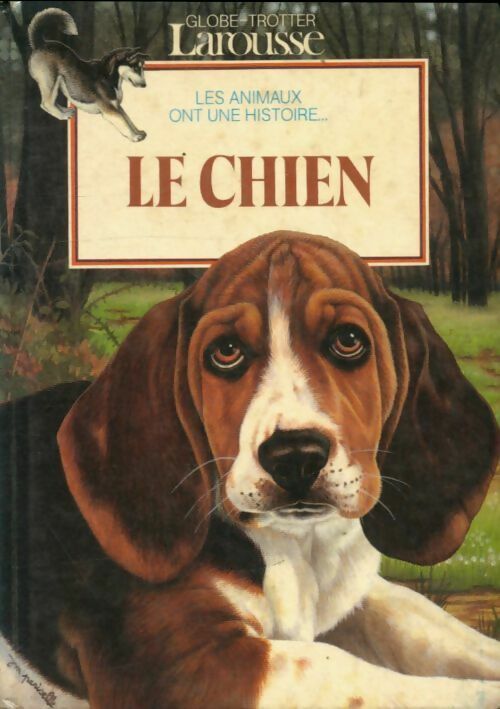 Livrenpoche : Le chien - Collectif - Livre