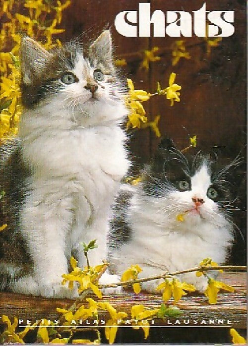 Chats - Trudi Flury - Livre