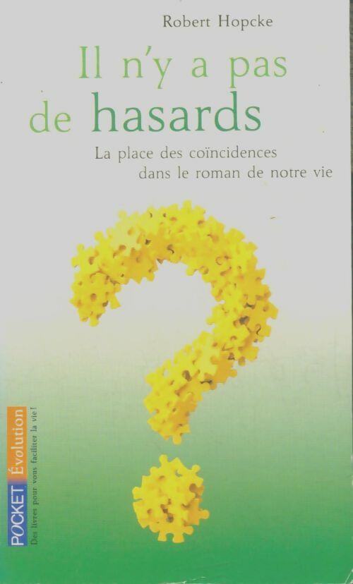 Livrenpoche : Il n'y a pas de hasards - Robert Hopcke - Livre