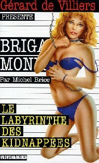 Le labyrinthe des kidnappées - Michel Brice - Livre