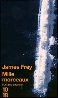 Mille morceaux - James N. Frey - Livre