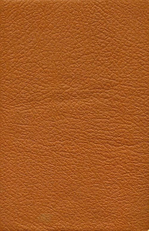 Livrenpoche : La princesse de Clèves - Mme De Lafayette - Livre