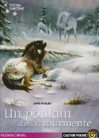 Livrenpoche : Le cheval fantôme Tome V : Un poulain dans la tourmente - Terri Farley - Livre