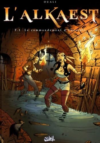 L'alkaest Tome I : Le commandement d'Enarsölt - Ludovic Ouali - Livre