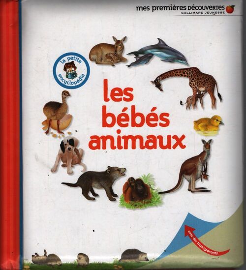 Les bébés animaux - Delphine Gravier - Livre