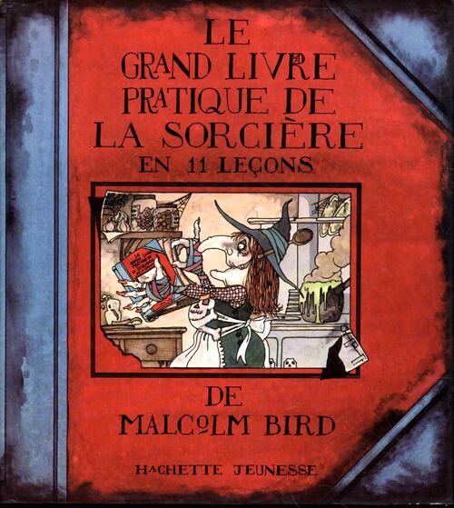 Le grand livre pratique de la sorcière en 11 leçons - Malcolm Bird - Livre