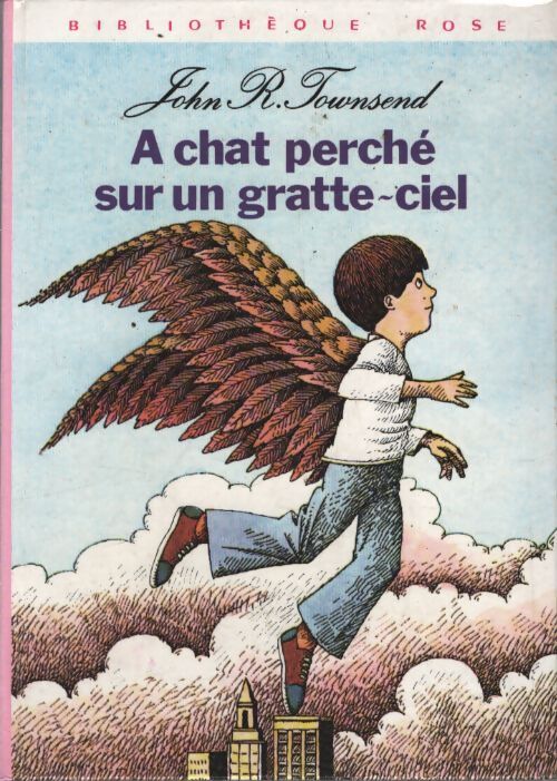 A chat perché sur un gratte-ciel - John Rowe Townsend - Livre