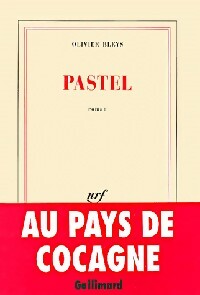 Pastel - Olivier Bleys - Livre