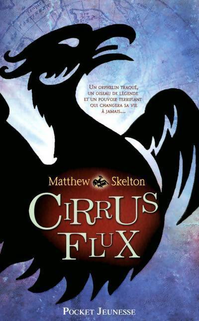 Cirrus Flux - Matthew Skelton - Livre