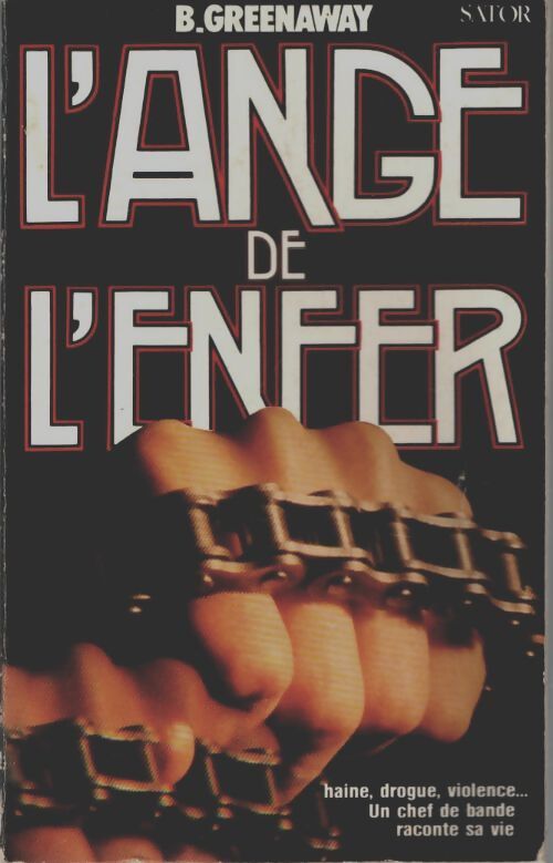 Livrenpoche : L'ange de l'enfer - B. Greenaway - Livre