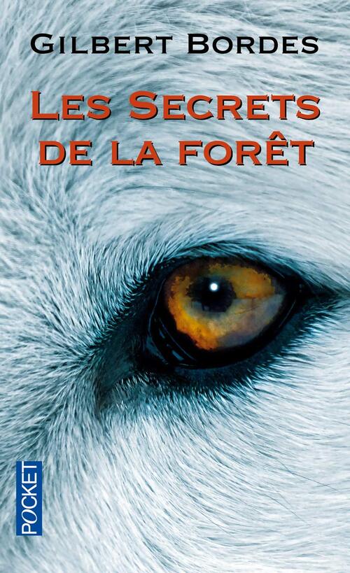 Les secrets de la forêt - Gilbert Bordes - Livre