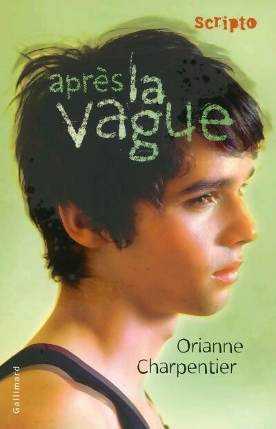Livrenpoche : Après la vague - Orianne Charpentier - Livre