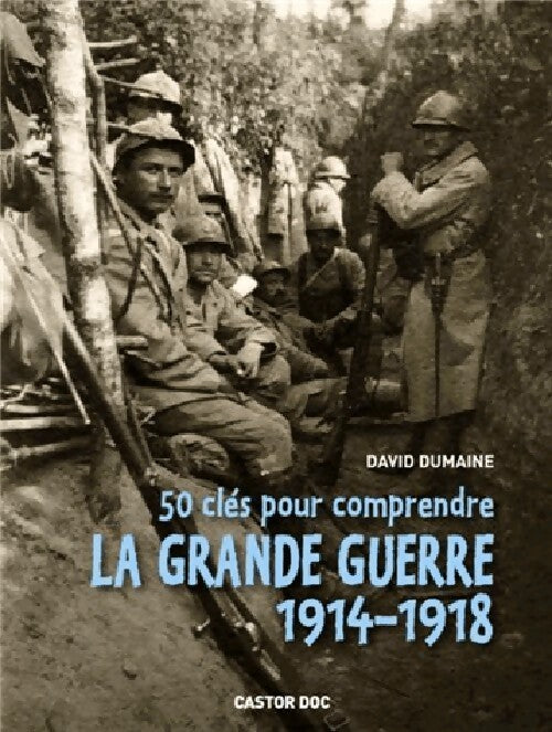 50 Clés pour comprendre la grande guerre 1914-1918 - David Dumaine - Livre