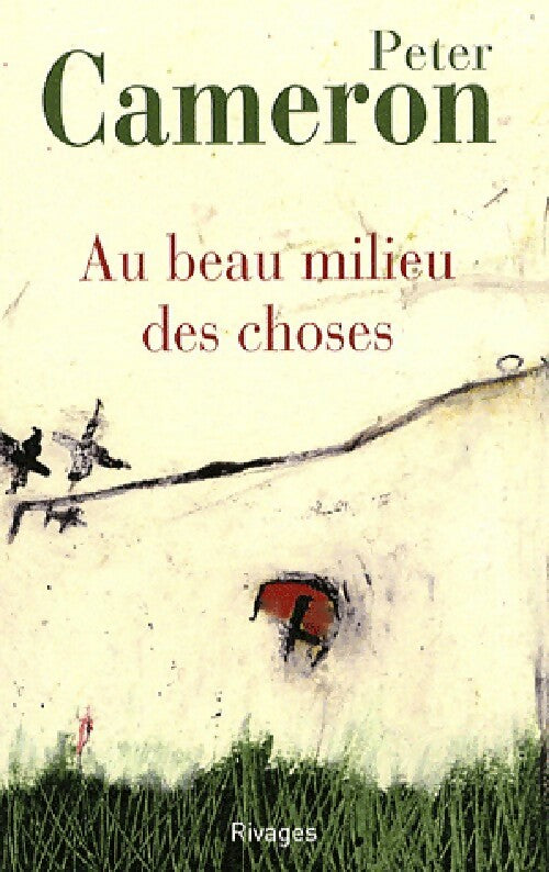 Livrenpoche : Au beau milieu des choses - Peter Cameron - Livre