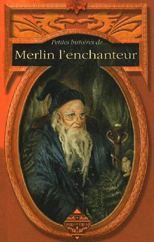 Livrenpoche : Merlin l'Enchanteur - Sylvie Ferdinand - Livre