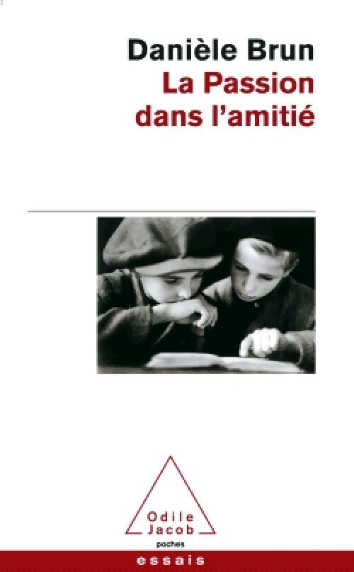 Livrenpoche : La passion dans l'amitié - Danièle Brun - Livre