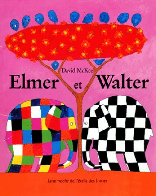Livrenpoche : Elmer et Walter - David McKee - Livre