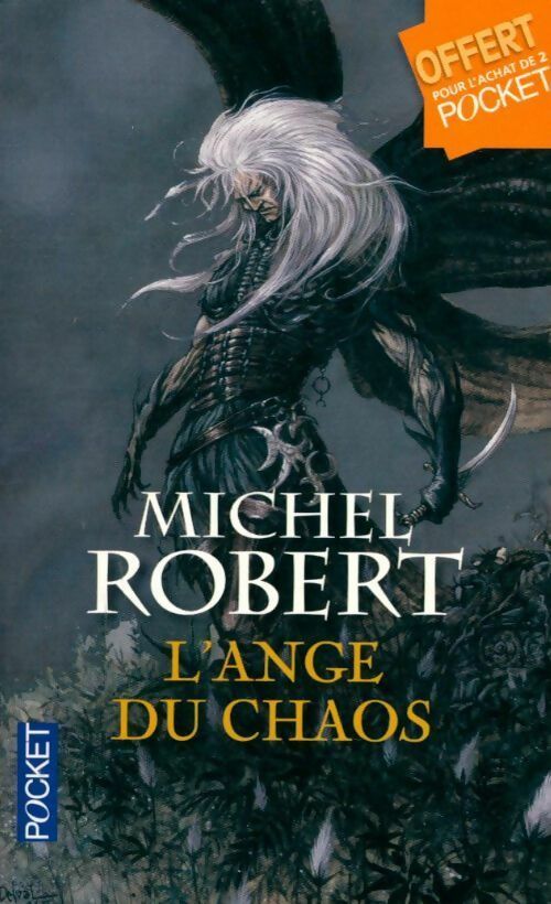Livrenpoche : L'agent des ombres Tome I : L'ange du chaos - Michel Robert - Livre