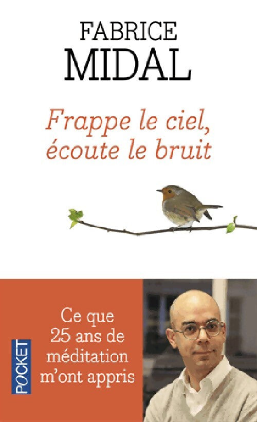 Frappe le ciel, écoute le bruit - Fabrice Midal - Livre