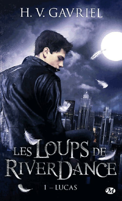 Les loups de Riverdance Tome I : Lucas - H.V. Gavriel - Livre