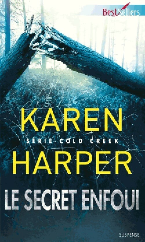Le secret enfoui - Karen Harper - Livre