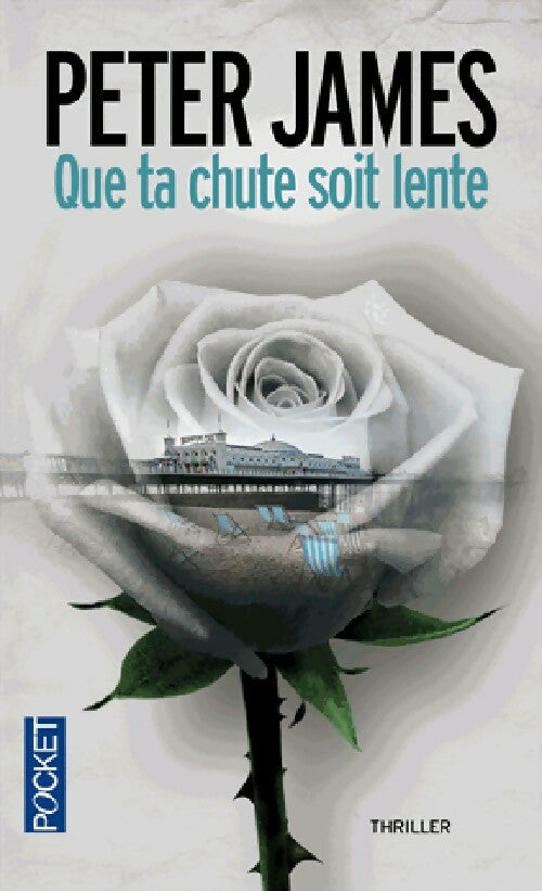 Livrenpoche : Que ta chute soit lente - Peter James - Livre