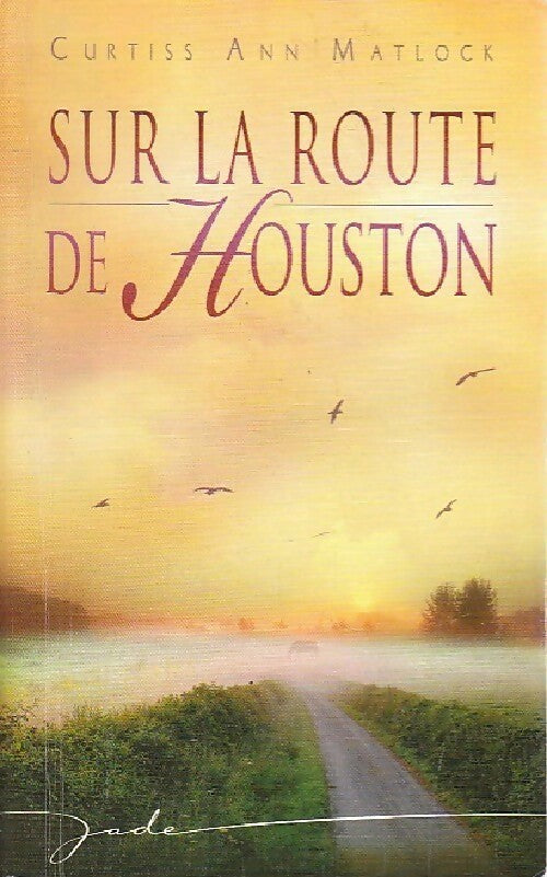Livrenpoche : Sur la route de Houston - Curtiss Ann Matlock - Livre
