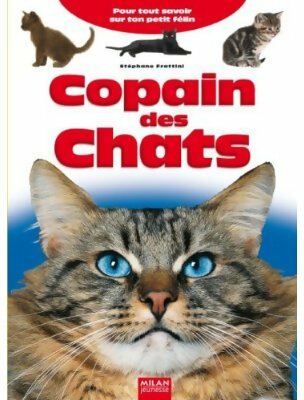 Livrenpoche : Copain des chats - Stéphane Frattini - Livre