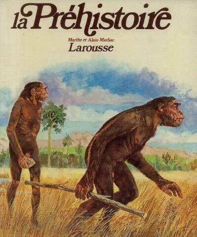 La préhistoire - Collectif - Livre