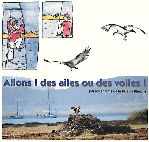 Livrenpoche : Allons ! Des ailes ou des voiles ! - Collectif - Livre