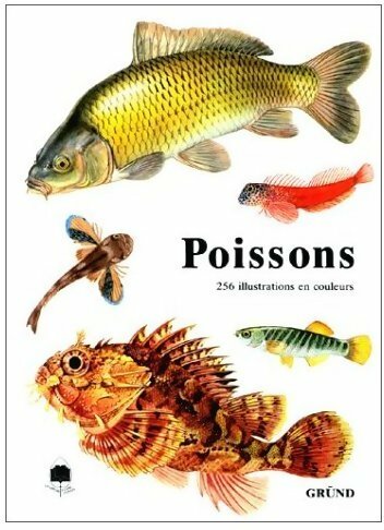 Livrenpoche : Poissons - Karel Pivnicka - Livre