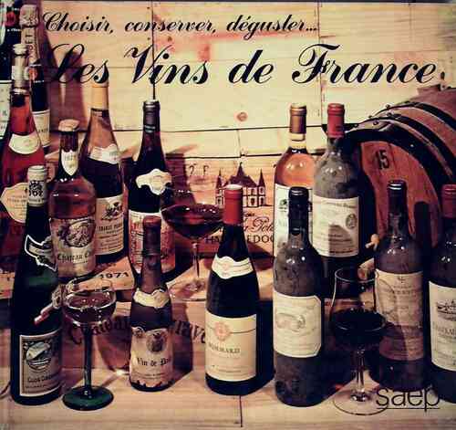 Livrenpoche : Les vins de France - René Mignon - Livre