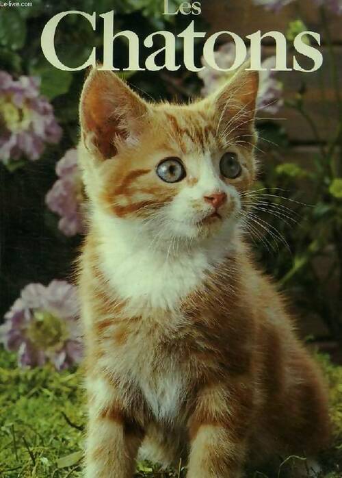 Livrenpoche : Les chatons - Angela Sayer - Livre