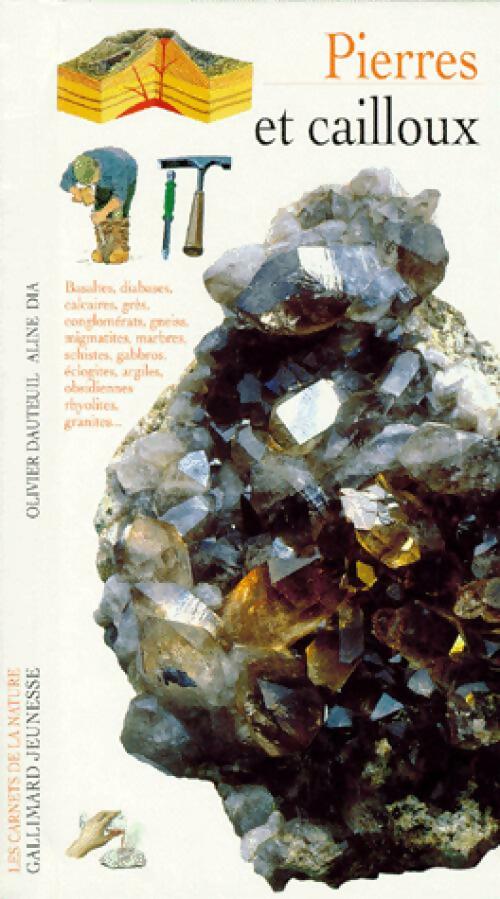 Livrenpoche : Pierres et cailloux - Olivier Dauteuil, Aline Dia - Livre