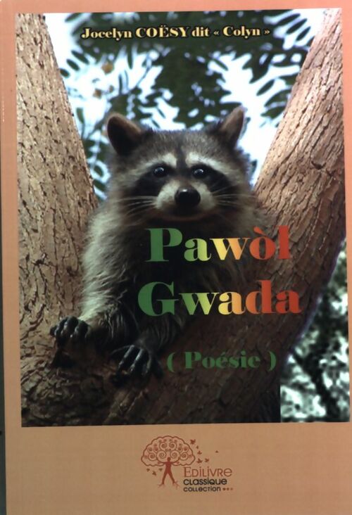 Pawol Gwada - Jocelyn Coësy -  Classique - Livre