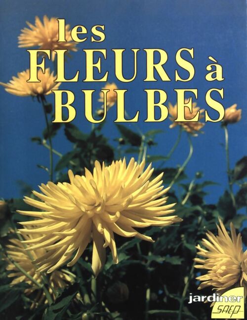 Livrenpoche : Les fleurs à bulbes - Pierre Nessmann - Livre