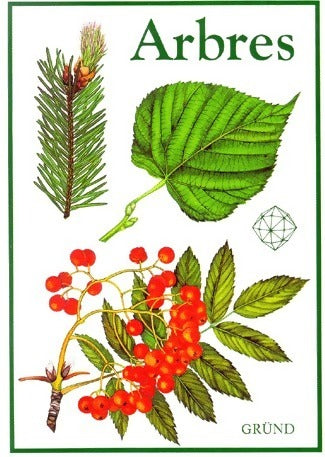 Livrenpoche : Arbres - Jaromir Pokorny - Livre