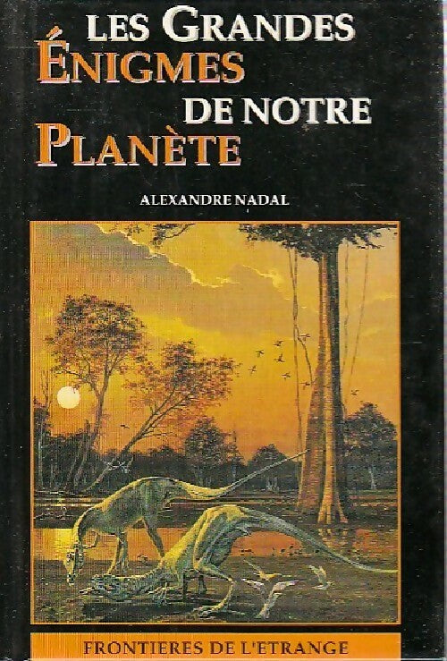 Livrenpoche : Les grandes énigmes de notre planète - Alexandre Nadal - Livre