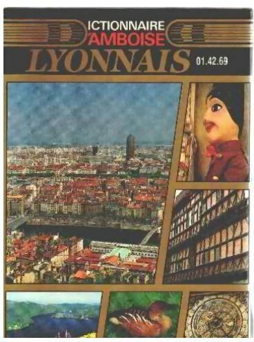 Livrenpoche : Dictionnaire d'Amboise Lyonnais - Collectif - Livre