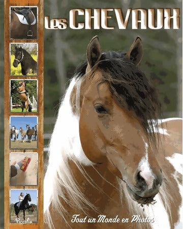 Livrenpoche : Les chevaux - Collectif - Livre