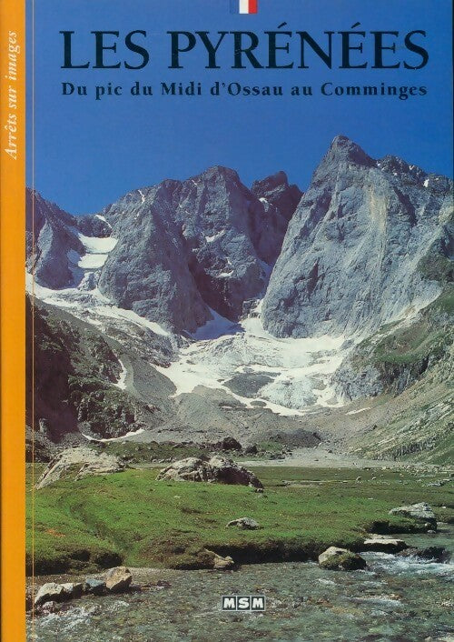 Livrenpoche : Les Pyrénées. Du Pic du Mid d'Ossau au Comminges - Camille Fambon - Livre