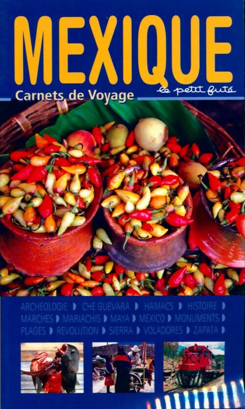 Mexique 2004-2005 - Collectif -  Carnet de voyage - Livre