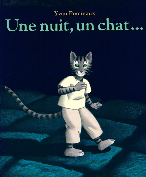 Une nuit, un chat... - Yvan Pommaux - Livre