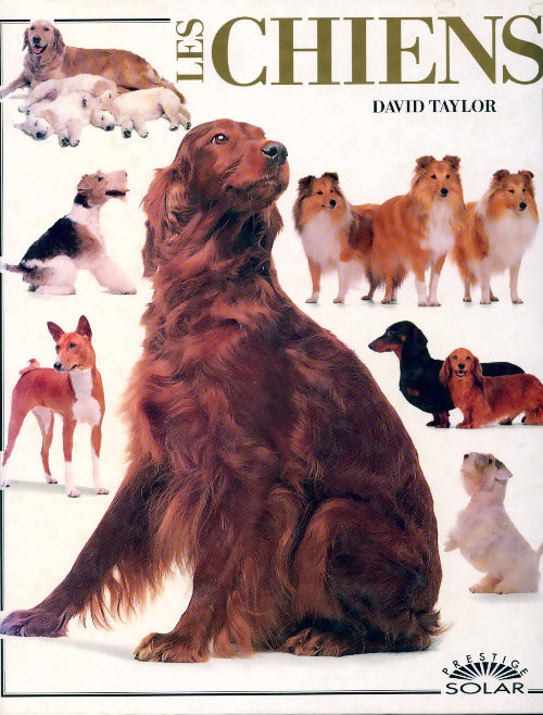 Les chiens - David Taylor -  Prestige - Livre